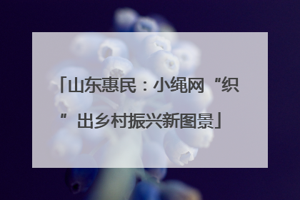 山东惠民：小绳网“织”出乡村振兴新图景