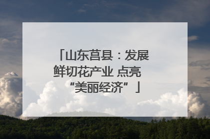 山东莒县：发展鲜切花产业 点亮“美丽经济”