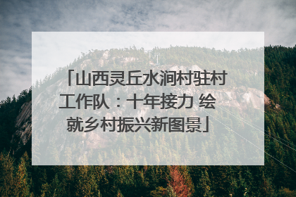 山西灵丘水涧村驻村工作队：十年接力 绘就乡村振兴新图景