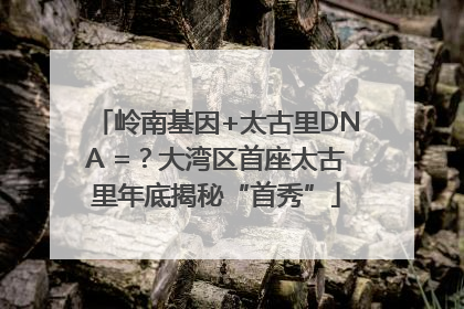 岭南基因+太古里DNA =？大湾区首座太古里年底揭秘“首秀”