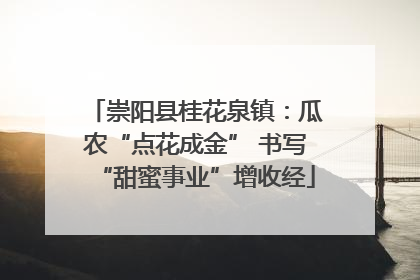 崇阳县桂花泉镇：瓜农“点花成金” 书写“甜蜜事业”增收经