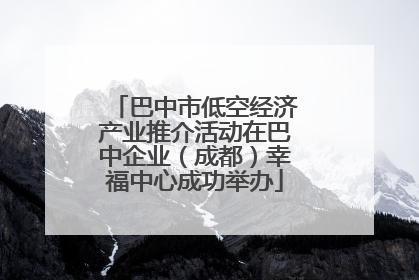 巴中市低空经济产业推介活动在巴中企业（成都）幸福中心成功举办