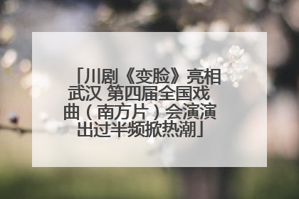 川剧《变脸》亮相武汉 第四届全国戏曲（南方片）会演演出过半频掀热潮