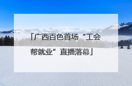 广西百色首场“工会帮就业”直播落幕