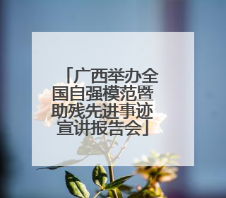 广西举办全国自强模范暨助残先进事迹宣讲报告会