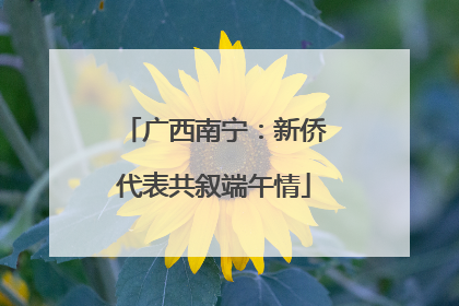 广西南宁：新侨代表共叙端午情