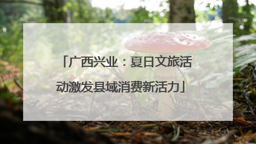 广西兴业：夏日文旅活动激发县域消费新活力