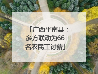 广西平南县：多方联动为66名农民工讨薪
