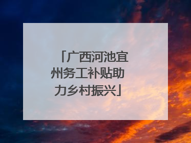 广西河池宜州务工补贴助力乡村振兴
