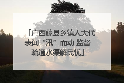 广西藤县乡镇人大代表闻“汛”而动 监督疏通水渠解民忧