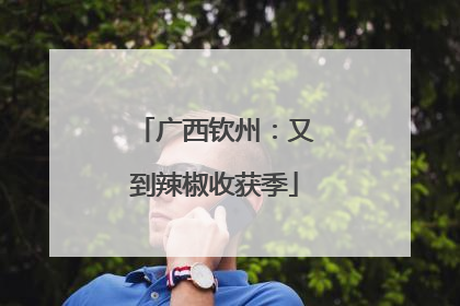 广西钦州：又到辣椒收获季