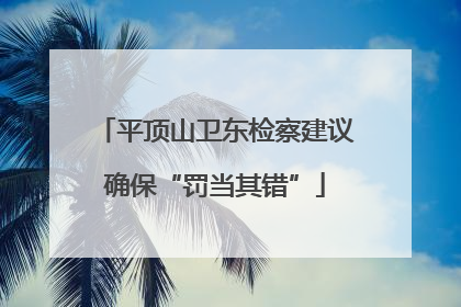 平顶山卫东检察建议确保“罚当其错”