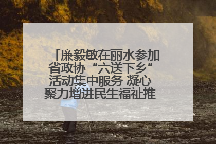 廉毅敏在丽水参加省政协“六送下乡”活动集中服务 凝心聚力增进民生福祉推进共同富裕