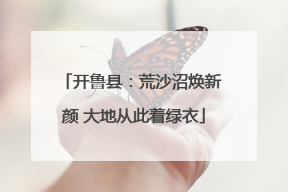 开鲁县：荒沙沼焕新颜 大地从此着绿衣