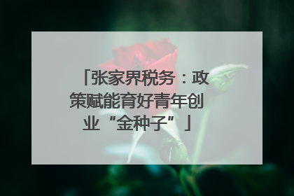 张家界税务：政策赋能育好青年创业“金种子”