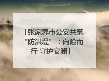 张家界市公安共筑“防洪堤”：向险而行 守护安澜