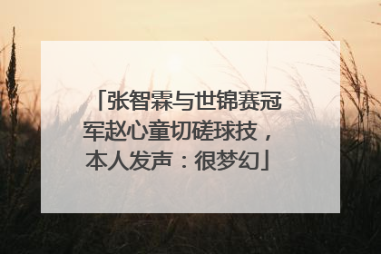 张智霖与世锦赛冠军赵心童切磋球技，本人发声：很梦幻