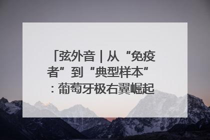 弦外音｜从“免疫者”到“典型样本”：葡萄牙极右翼崛起背后的欧洲困局