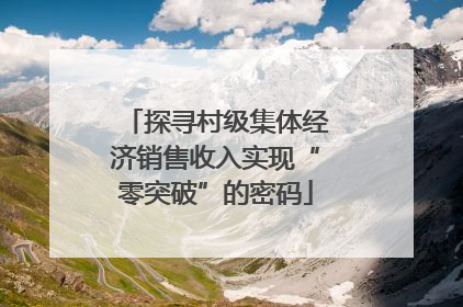探寻村级集体经济销售收入实现“零突破”的密码