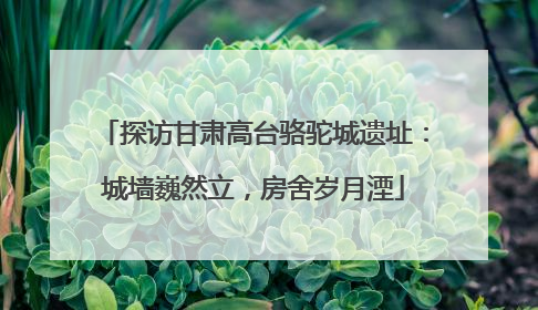 探访甘肃高台骆驼城遗址：城墙巍然立，房舍岁月湮