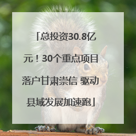 总投资30.8亿元！30个重点项目落户甘肃崇信 驱动县域发展加速跑