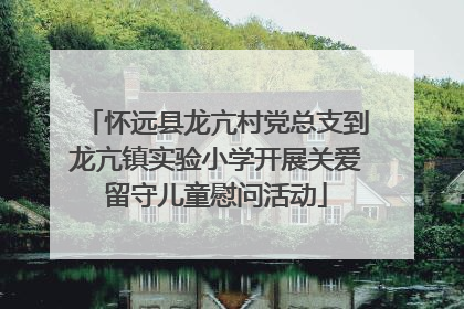 怀远县龙亢村党总支到龙亢镇实验小学开展关爱留守儿童慰问活动