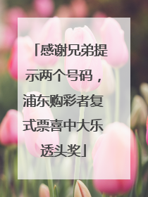 感谢兄弟提示两个号码，浦东购彩者复式票喜中大乐透头奖