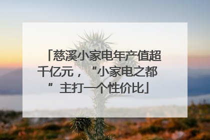 慈溪小家电年产值超千亿元，“小家电之都”主打一个性价比