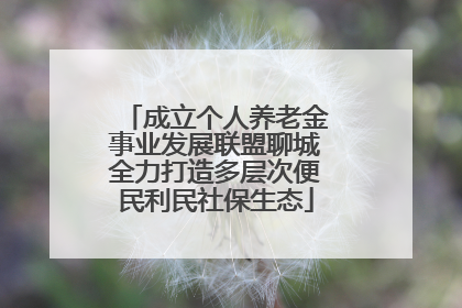 成立个人养老金事业发展联盟聊城全力打造多层次便民利民社保生态