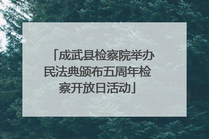 成武县检察院举办民法典颁布五周年检察开放日活动