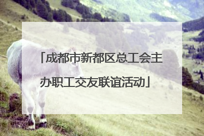 成都市新都区总工会主办职工交友联谊活动