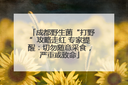 成都野生菌“打野”攻略走红 专家提醒：切勿随意采食，严重或致命