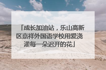 成长加油站，乐山高新区嘉祥外国语学校用爱浇灌每一朵迟开的花