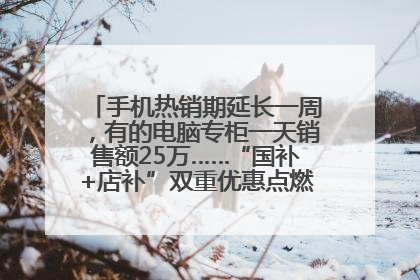 手机热销期延长一周，有的电脑专柜一天销售额25万……“国补+店补”双重优惠点燃德州“考后经济”
