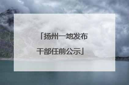 扬州一地发布干部任前公示