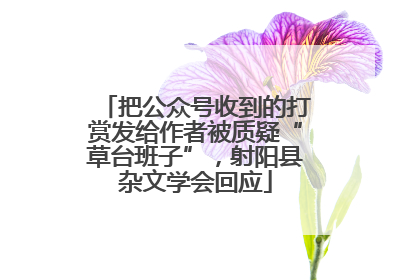 把公众号收到的打赏发给作者被质疑“草台班子”，射阳县杂文学会回应