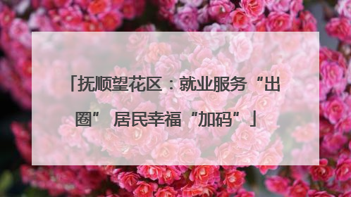 抚顺望花区：就业服务“出圈” 居民幸福“加码”