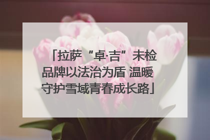 拉萨“卓·吉”未检品牌以法治为盾 温暖守护雪域青春成长路