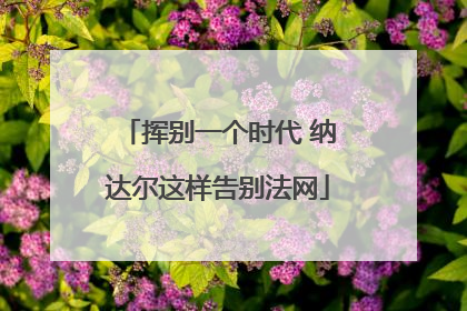 挥别一个时代 纳达尔这样告别法网