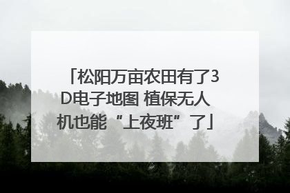 松阳万亩农田有了3D电子地图 植保无人机也能“上夜班”了