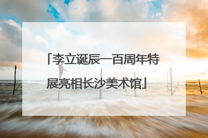 李立诞辰一百周年特展亮相长沙美术馆