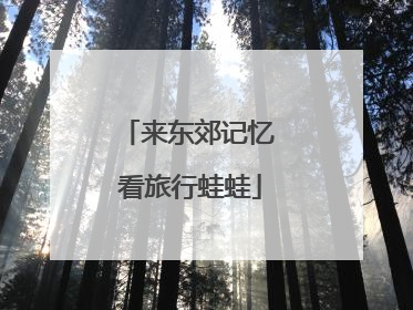 来东郊记忆 看旅行蛙蛙