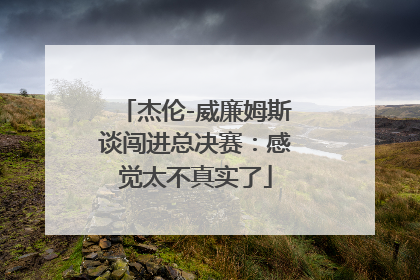 杰伦-威廉姆斯谈闯进总决赛：感觉太不真实了