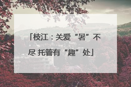 枝江：关爱“暑”不尽 托管有“趣”处
