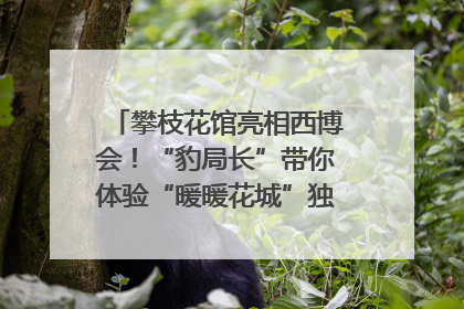攀枝花馆亮相西博会！“豹局长”带你体验“暖暖花城”独特魅力｜西博视界