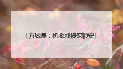 方城县：机收减损保粮安