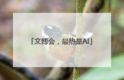 文博会，最热是AI
