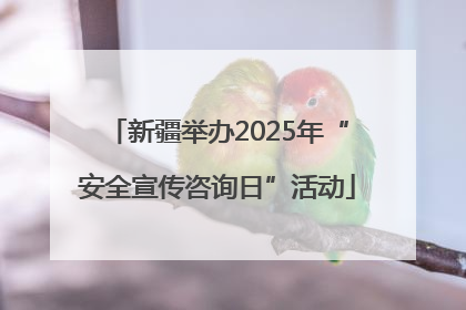 新疆举办2025年“安全宣传咨询日”活动