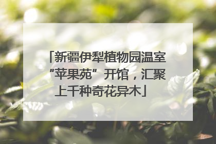 新疆伊犁植物园温室“苹果苑”开馆，汇聚上千种奇花异木