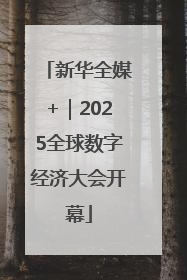 新华全媒+｜2025全球数字经济大会开幕